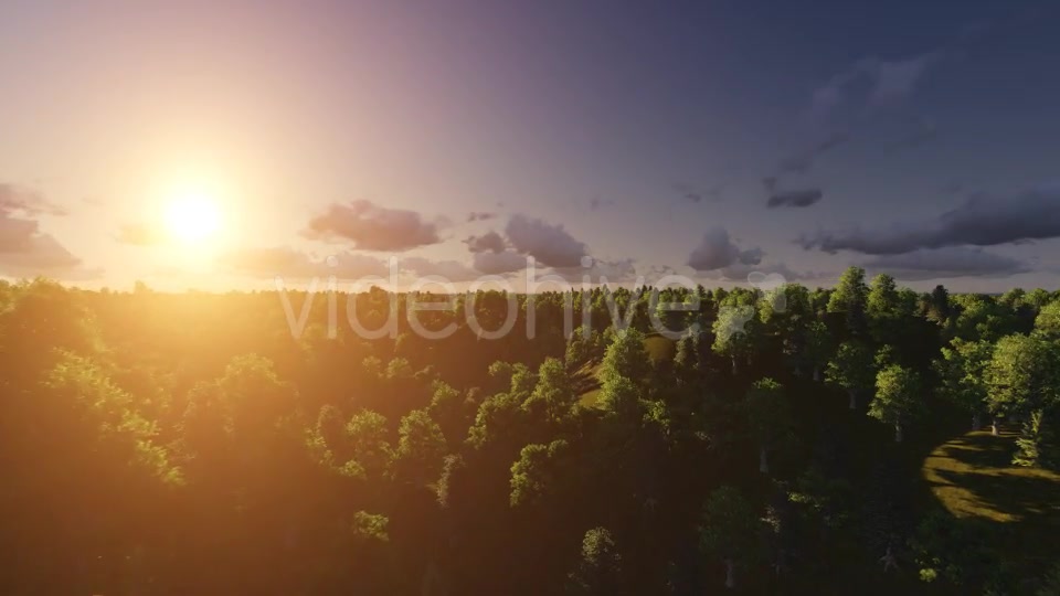 Flight over Forest During Sunrise Videohive 13200984 Motion Graphics Image 6