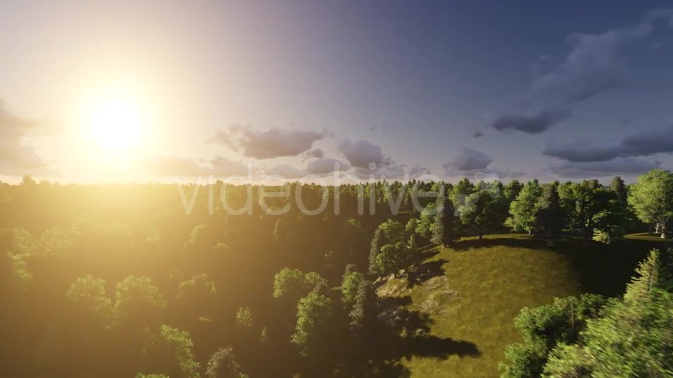 Flight over Forest During Sunrise Videohive 13200984 Motion Graphics Image 7