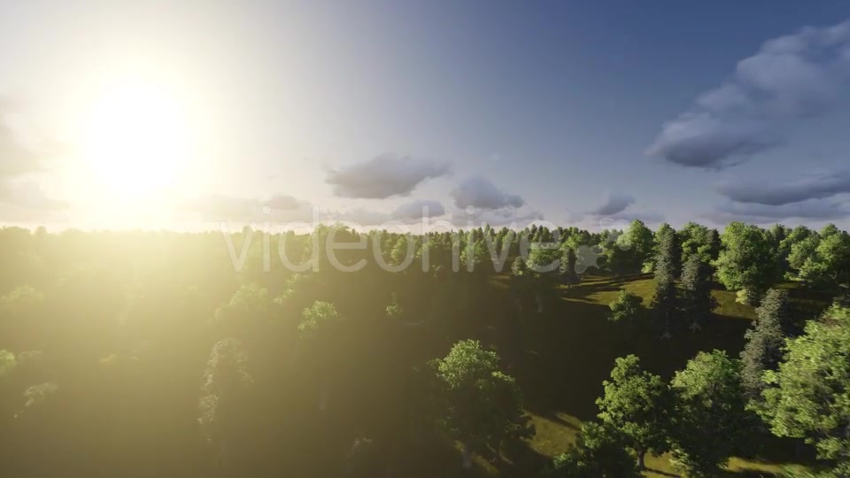 Flight over Forest During Sunrise Videohive 13200984 Motion Graphics Image 8