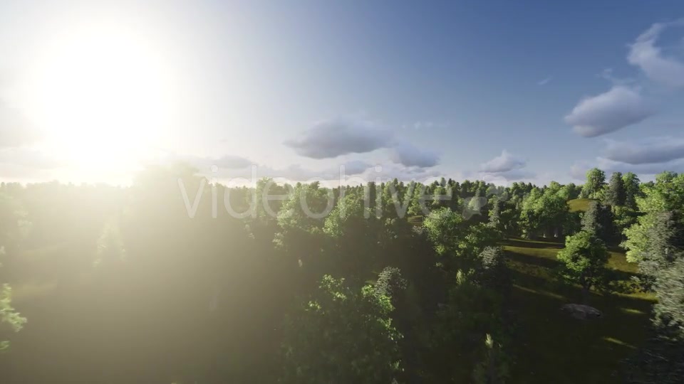 Flight over Forest During Sunrise Videohive 13200984 Motion Graphics Image 9