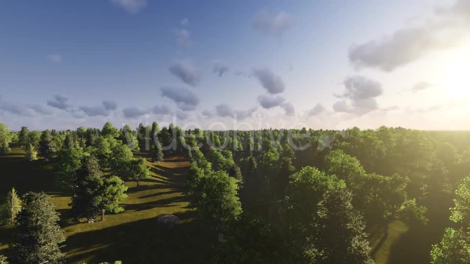 Flight over Forest During Sunset Videohive 13201025 Motion Graphics Image 1