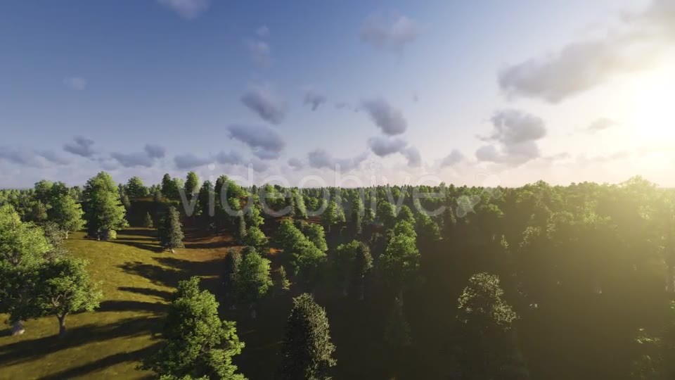 Flight over Forest During Sunset Videohive 13201025 Motion Graphics Image 2
