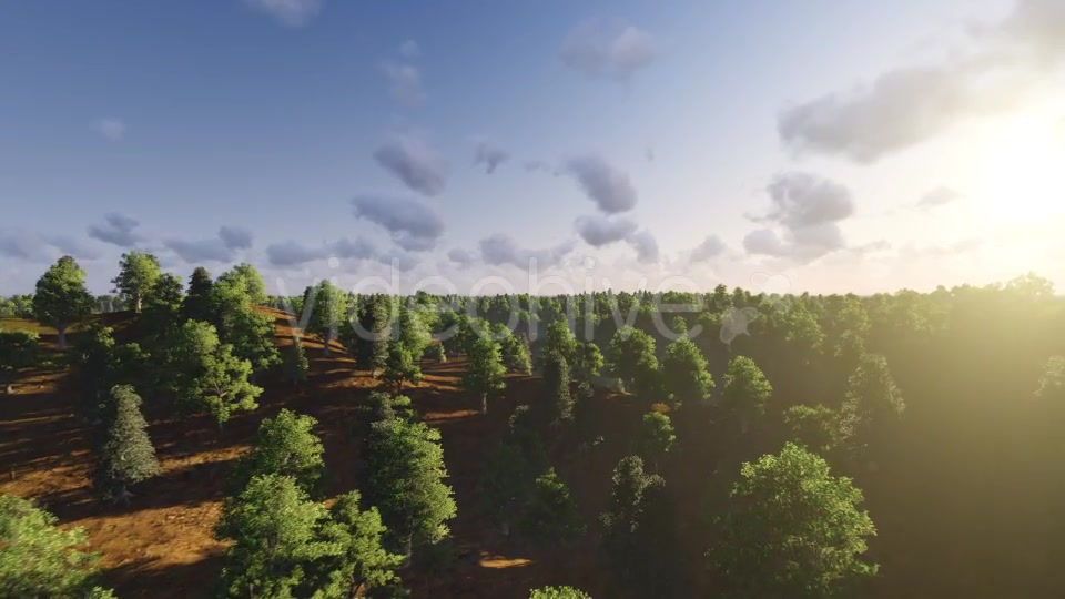 Flight over Forest During Sunset Videohive 13201025 Motion Graphics Image 3