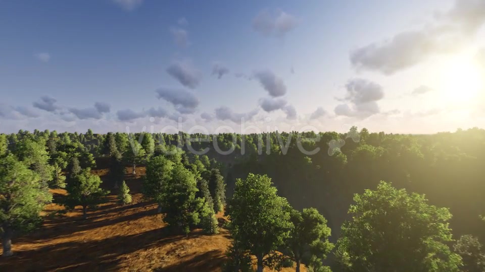 Flight over Forest During Sunset Videohive 13201025 Motion Graphics Image 4