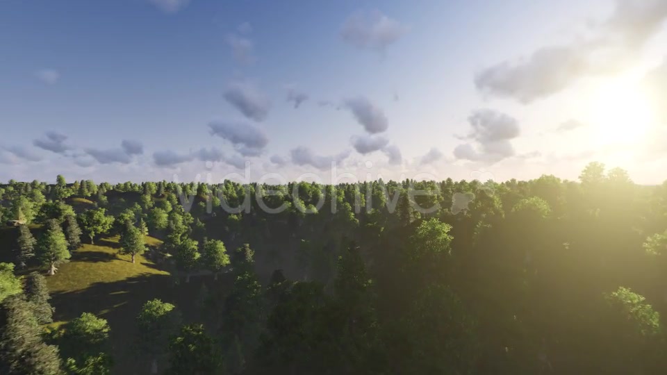 Flight over Forest During Sunset Videohive 13201025 Motion Graphics Image 5