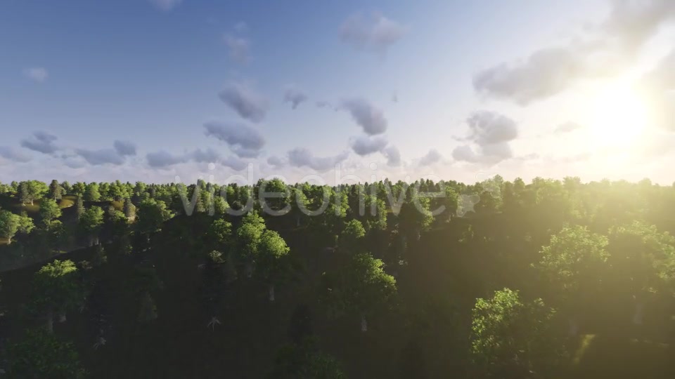Flight over Forest During Sunset Videohive 13201025 Motion Graphics Image 6