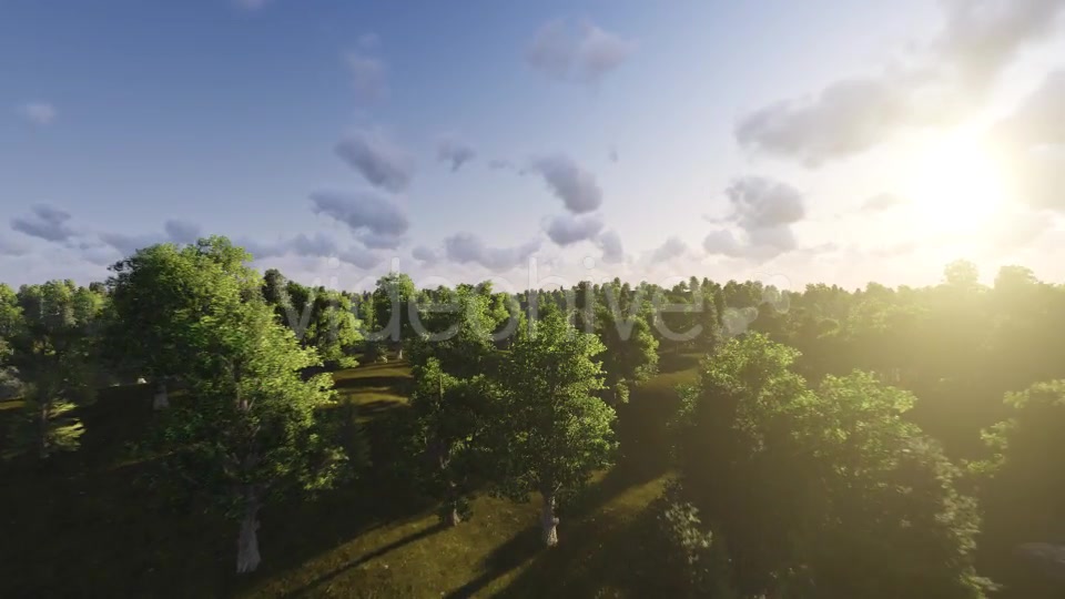 Flight over Forest During Sunset Videohive 13201025 Motion Graphics Image 7