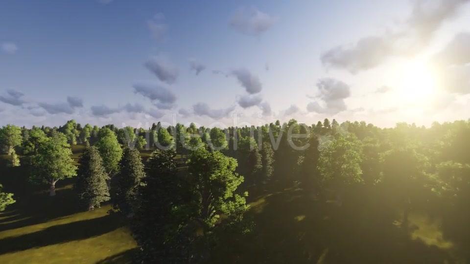 Flight over Forest During Sunset Videohive 13201025 Motion Graphics Image 8