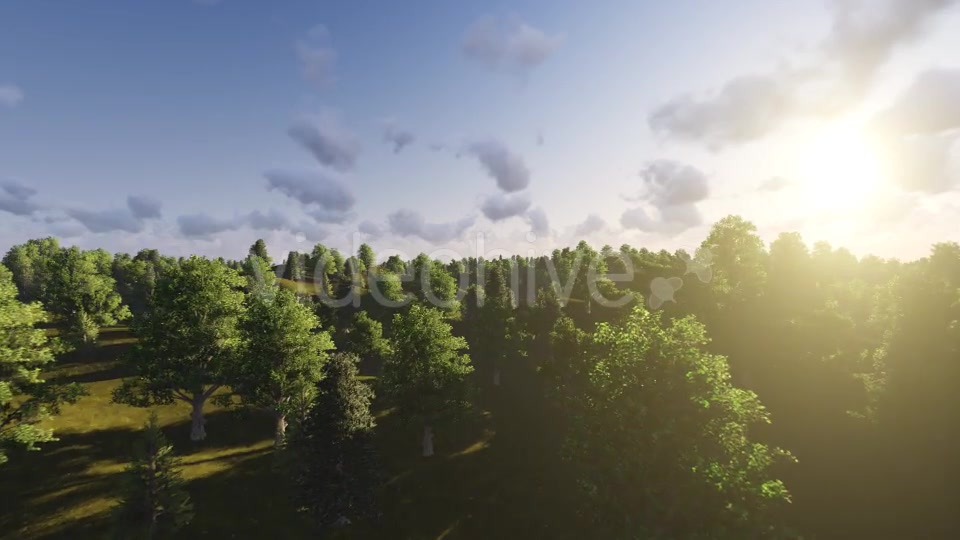 Flight over Forest During Sunset Videohive 13201025 Motion Graphics Image 9