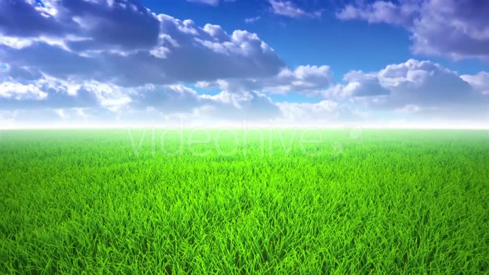 Flight Over Grass, Cloudscape Videohive 19993709 Motion Graphics Image 1