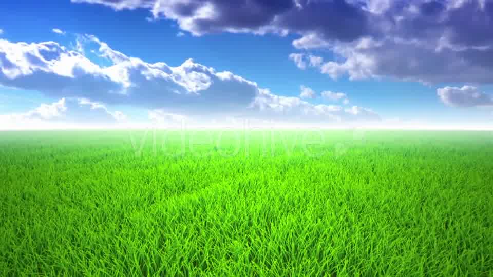 Flight Over Grass, Cloudscape Videohive 19993709 Motion Graphics Image 10