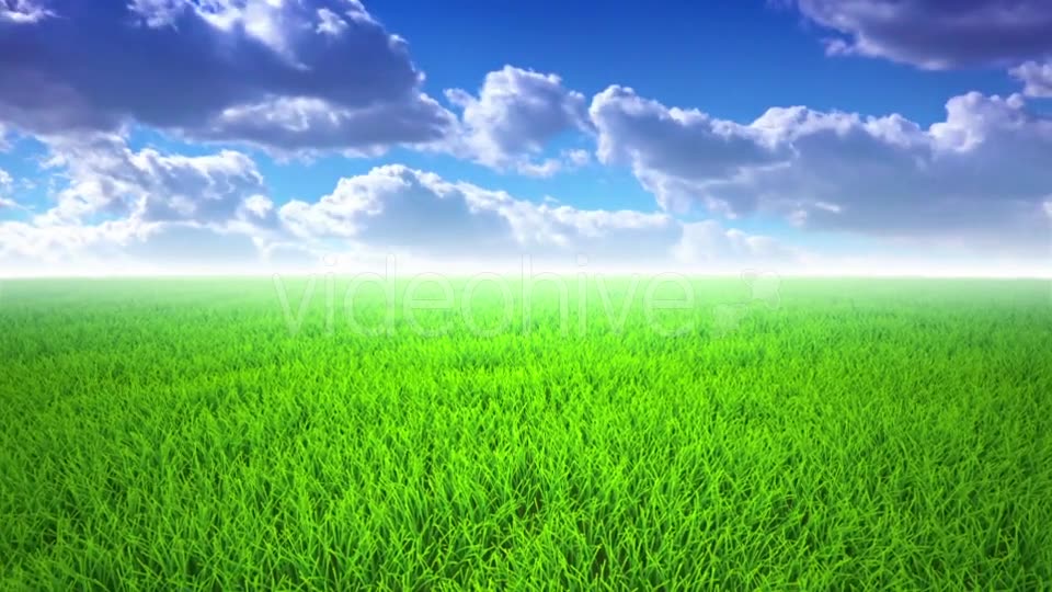 Flight Over Grass, Cloudscape Videohive 19993709 Motion Graphics Image 2