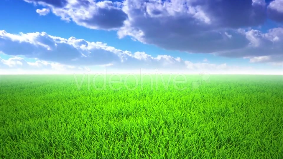 Flight Over Grass, Cloudscape Videohive 19993709 Motion Graphics Image 4