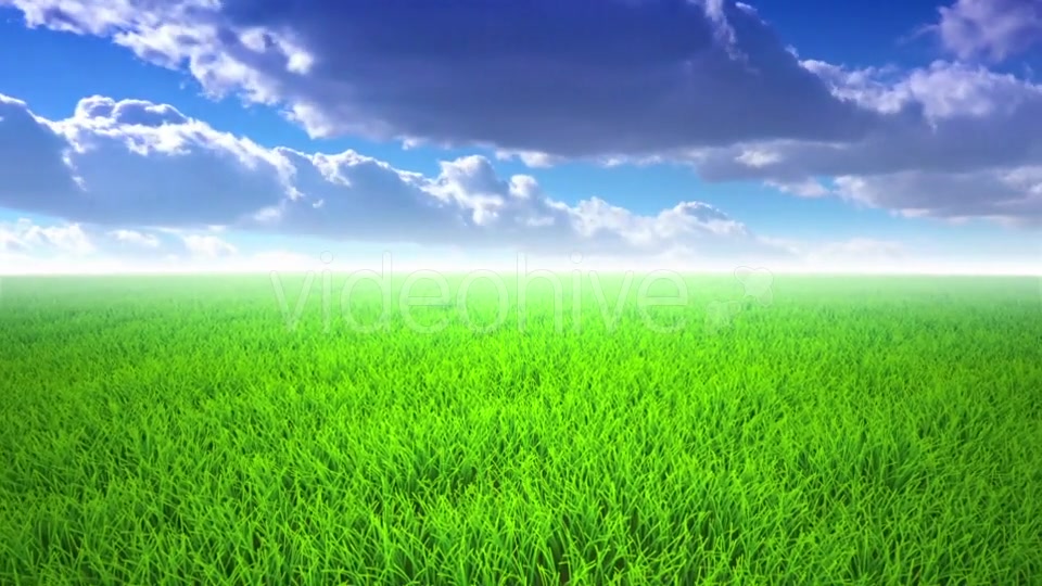 Flight Over Grass, Cloudscape Videohive 19993709 Motion Graphics Image 5