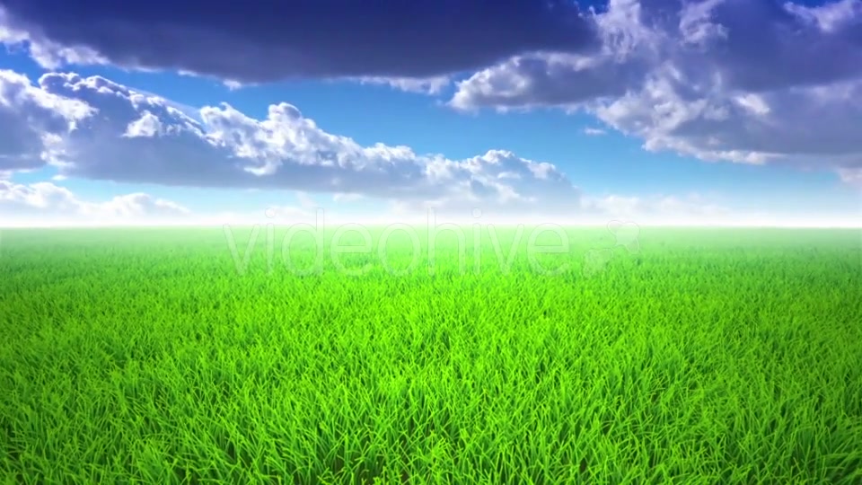 Flight Over Grass, Cloudscape Videohive 19993709 Motion Graphics Image 6
