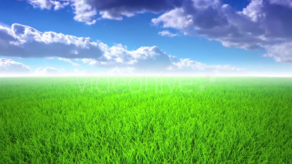 Flight Over Grass, Cloudscape Videohive 19993709 Motion Graphics Image 7