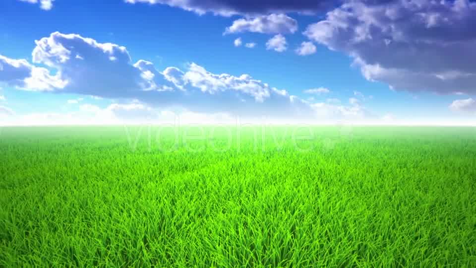 Flight Over Grass, Cloudscape Videohive 19993709 Motion Graphics Image 9