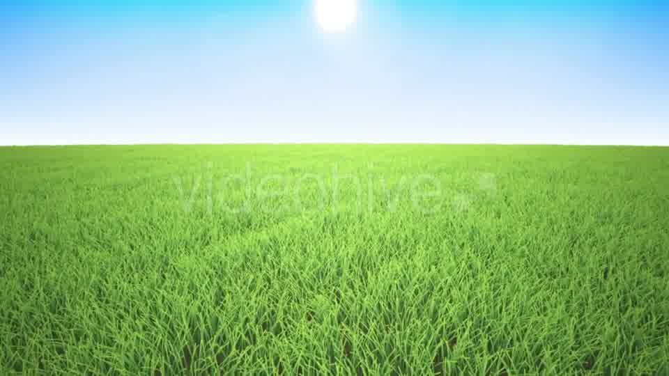 Flight Over Grass, Sunrise Videohive 19993698 Motion Graphics Image 10