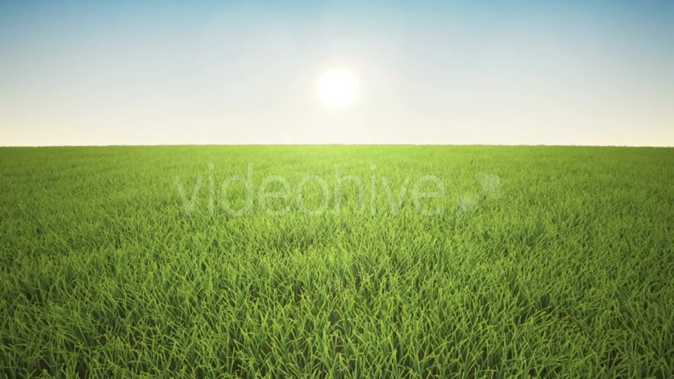 Flight Over Grass, Sunrise Videohive 19993698 Motion Graphics Image 4