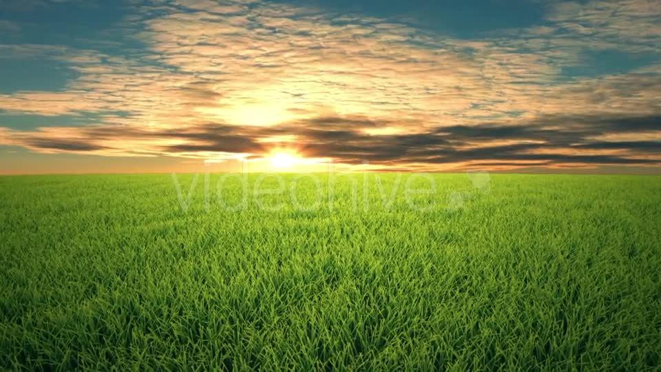 Flight Over Grass, Sunset, Cloudscape Videohive 19993729 Motion Graphics Image 1