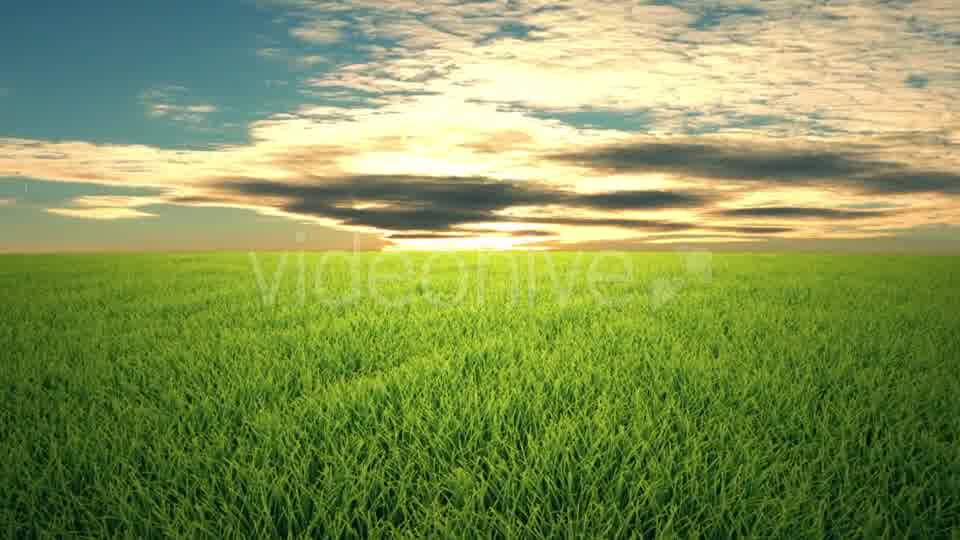 Flight Over Grass, Sunset, Cloudscape Videohive 19993729 Motion Graphics Image 10