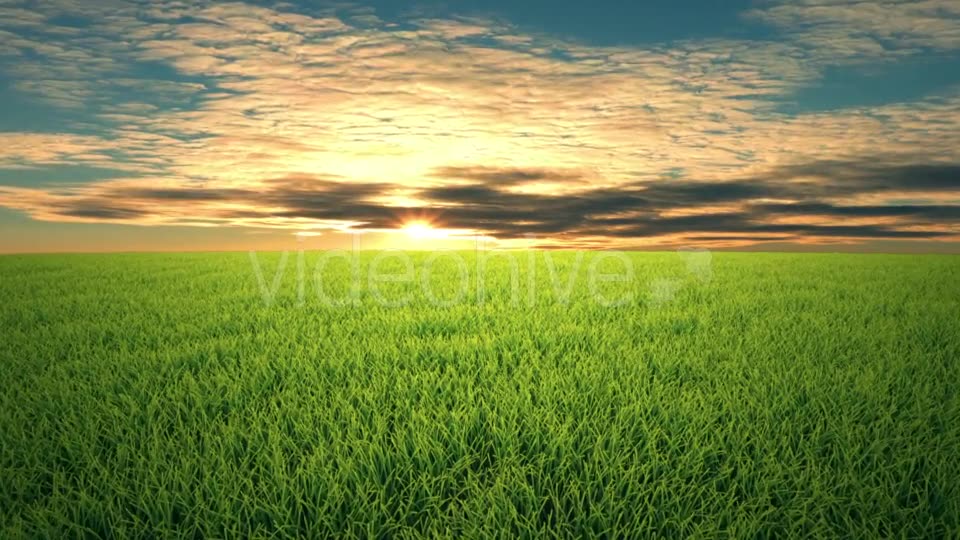 Flight Over Grass, Sunset, Cloudscape Videohive 19993729 Motion Graphics Image 2