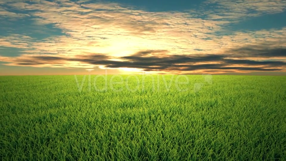 Flight Over Grass, Sunset, Cloudscape Videohive 19993729 Motion Graphics Image 3
