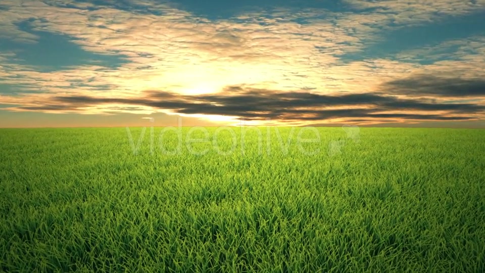 Flight Over Grass, Sunset, Cloudscape Videohive 19993729 Motion Graphics Image 4