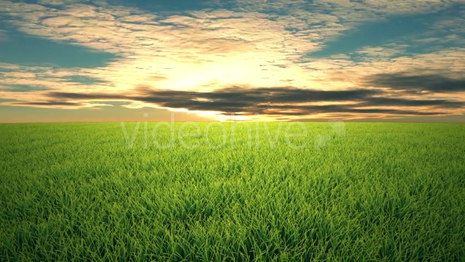 Flight Over Grass, Sunset, Cloudscape Videohive 19993729 Motion Graphics Image 5