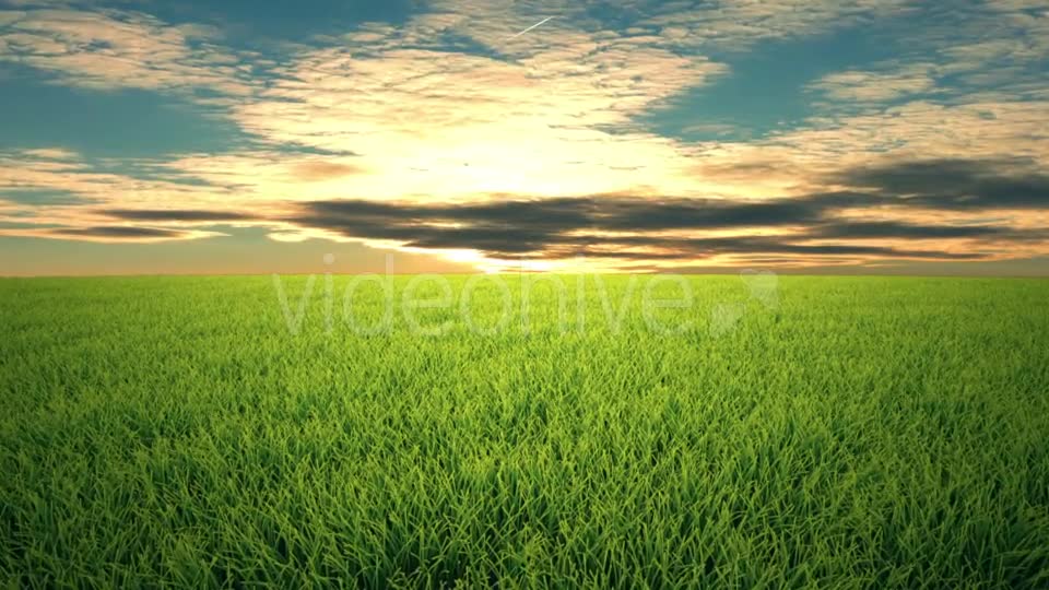 Flight Over Grass, Sunset, Cloudscape Videohive 19993729 Motion Graphics Image 6