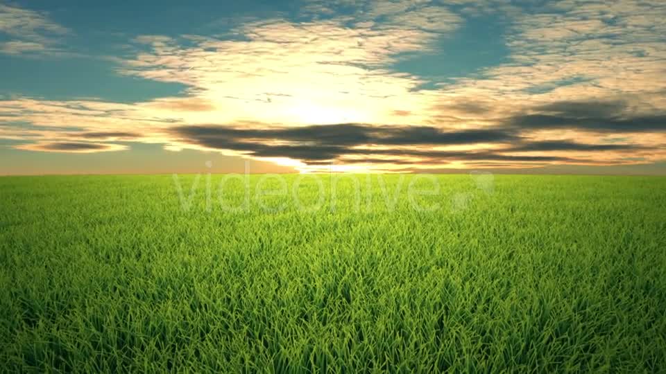 Flight Over Grass, Sunset, Cloudscape Videohive 19993729 Motion Graphics Image 7
