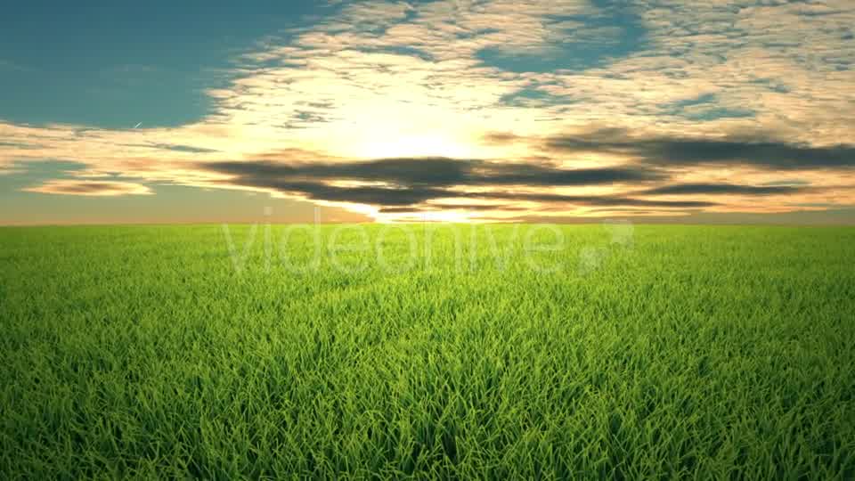 Flight Over Grass, Sunset, Cloudscape Videohive 19993729 Motion Graphics Image 8
