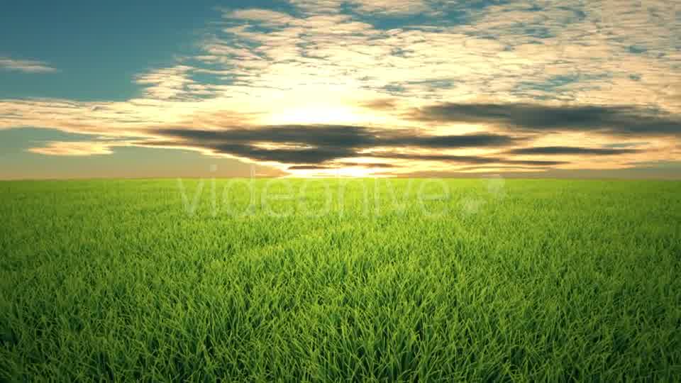 Flight Over Grass, Sunset, Cloudscape Videohive 19993729 Motion Graphics Image 9