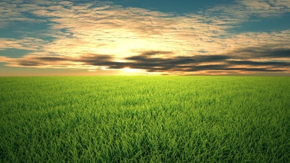 Flight Over Grass, Sunset, Cloudscape - Download 19993729 Videohive