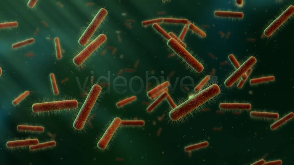 Floating Bacteria Videohive 19208935 Motion Graphics Image 1