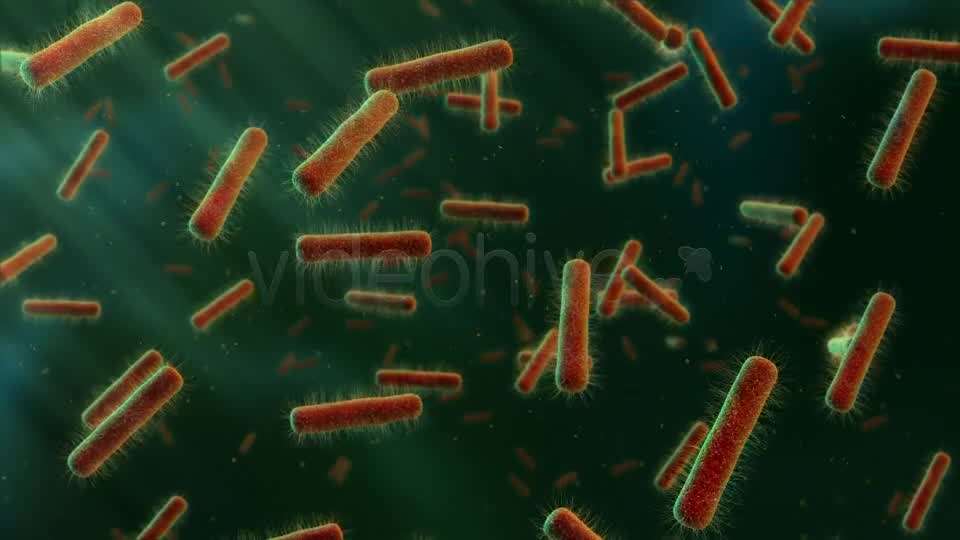 Floating Bacteria Videohive 19208935 Motion Graphics Image 10