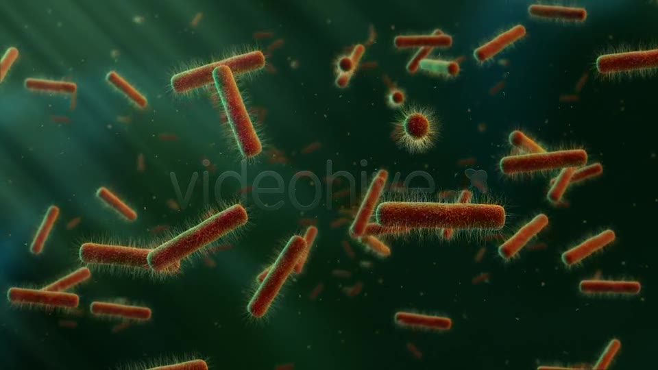 Floating Bacteria Videohive 19208935 Motion Graphics Image 2