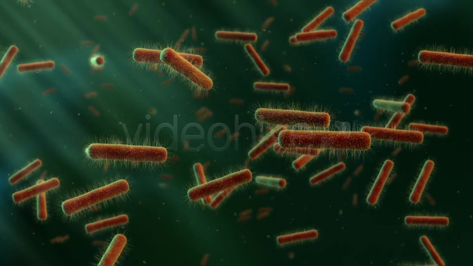Floating Bacteria Videohive 19208935 Motion Graphics Image 3