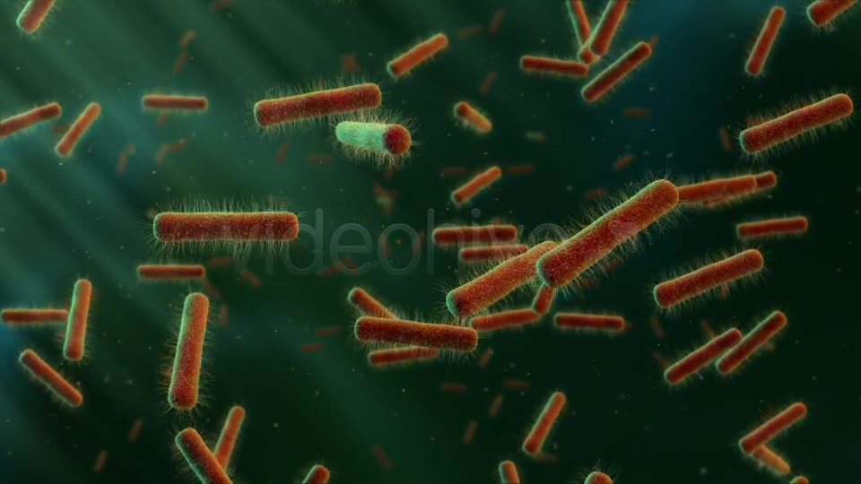 Floating Bacteria Videohive 19208935 Motion Graphics Image 4