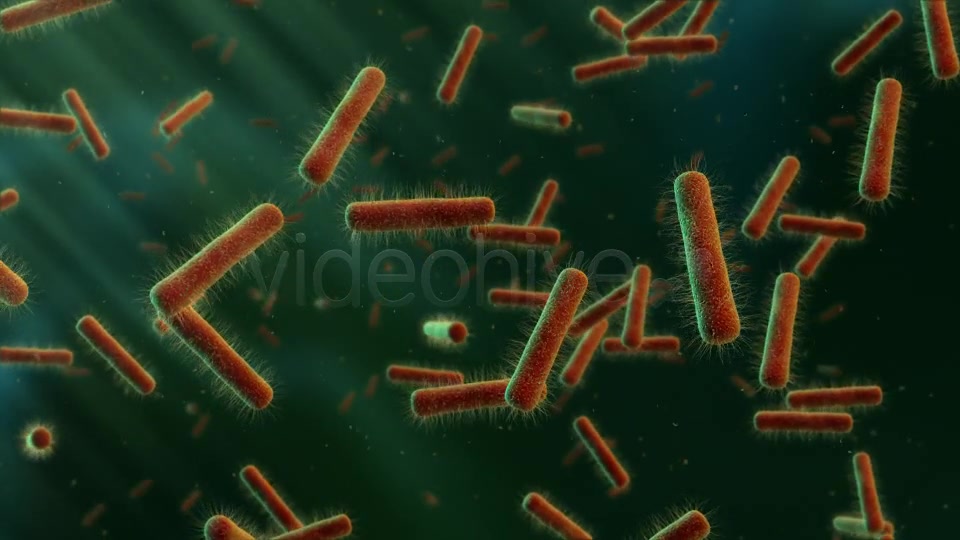 Floating Bacteria Videohive 19208935 Motion Graphics Image 5