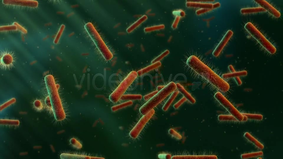 Floating Bacteria Videohive 19208935 Motion Graphics Image 6