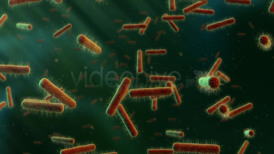 Floating Bacteria Videohive 19208935 Motion Graphics Image 7