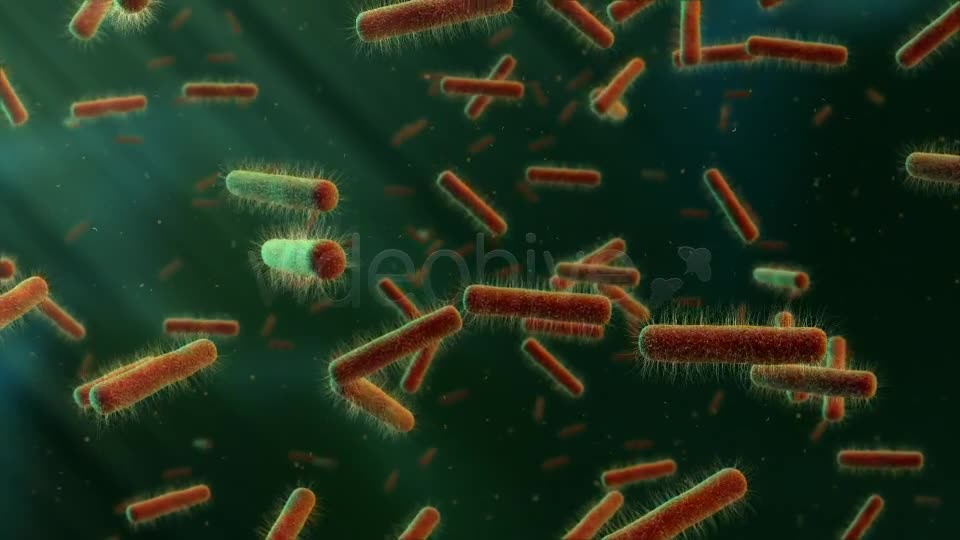 Floating Bacteria Videohive 19208935 Motion Graphics Image 8