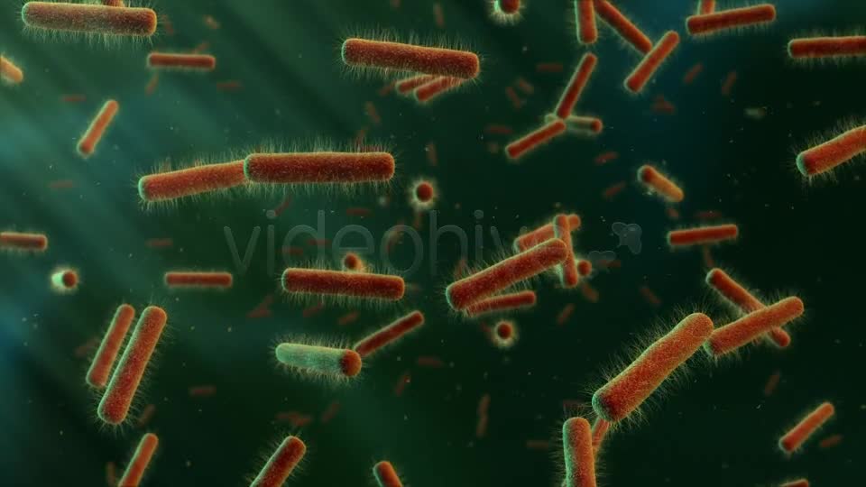 Floating Bacteria Videohive 19208935 Motion Graphics Image 9