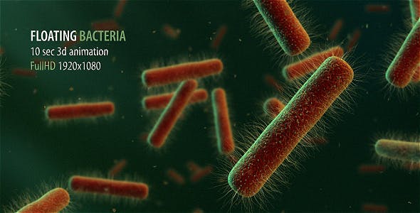 Floating Bacteria - Download 19208935 Videohive