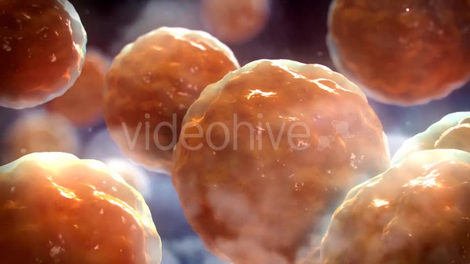 Floating Cells Background Videohive 12669869 Motion Graphics Image 1