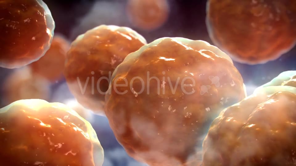 Floating Cells Background Videohive 12669869 Motion Graphics Image 2