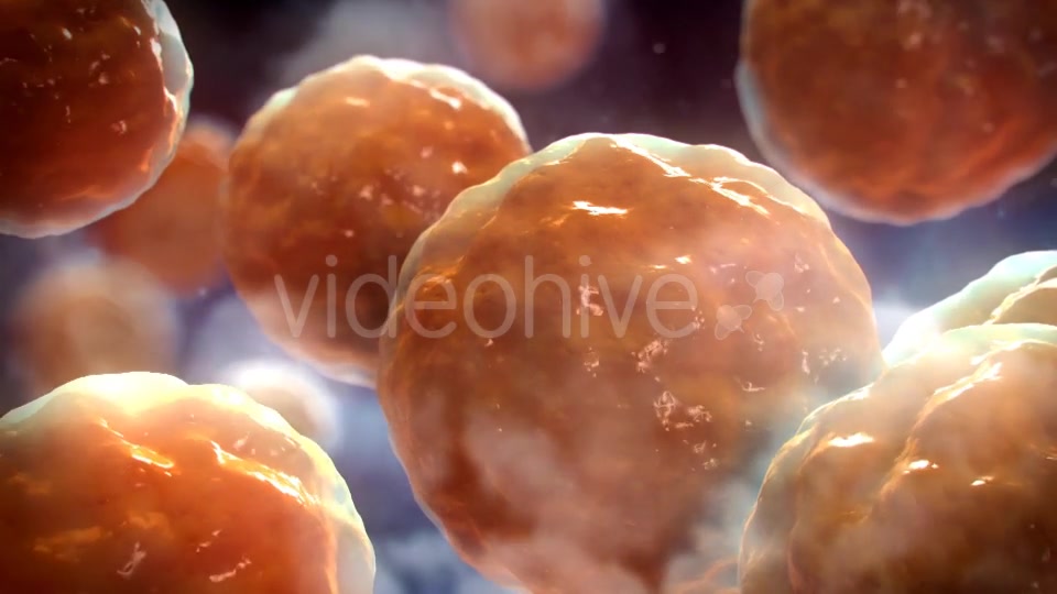 Floating Cells Background Videohive 12669869 Motion Graphics Image 3