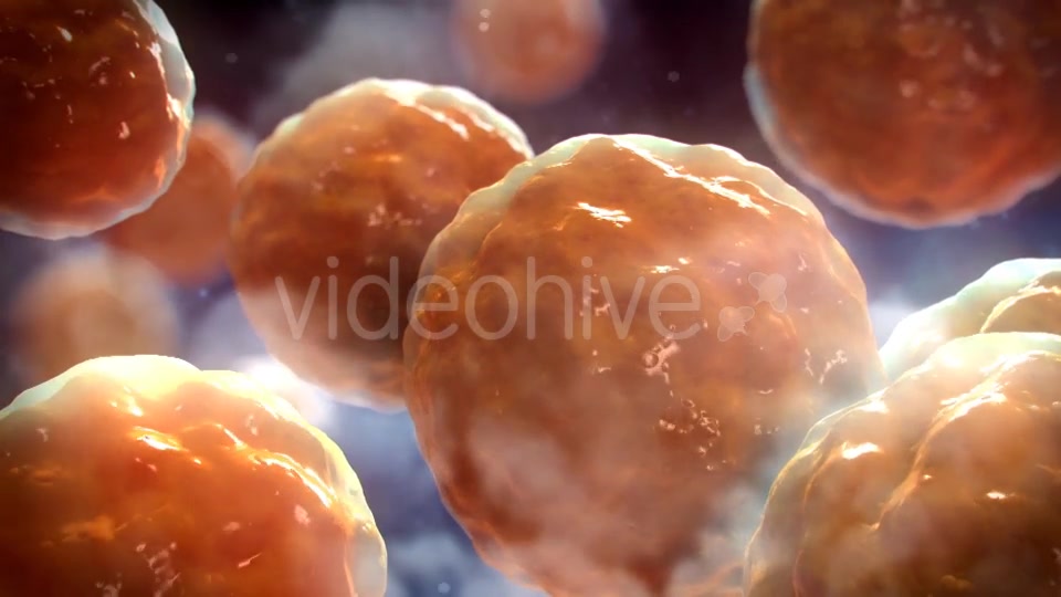 Floating Cells Background Videohive 12669869 Motion Graphics Image 4