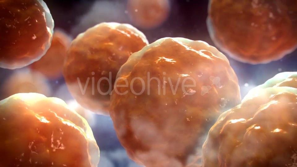 Floating Cells Background Videohive 12669869 Motion Graphics Image 5